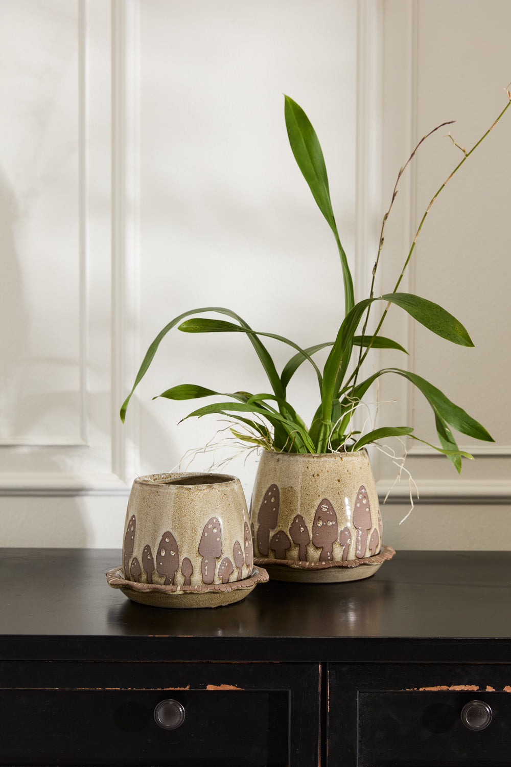 Wild Mushroom Pot with Saucer Set of 2 By Accent Decor | Planters, Troughs & Cachepots | Modishstore - 3