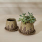Wild Mushroom Pot with Saucer Set of 2 By Accent Decor | Planters, Troughs & Cachepots | Modishstore - 4