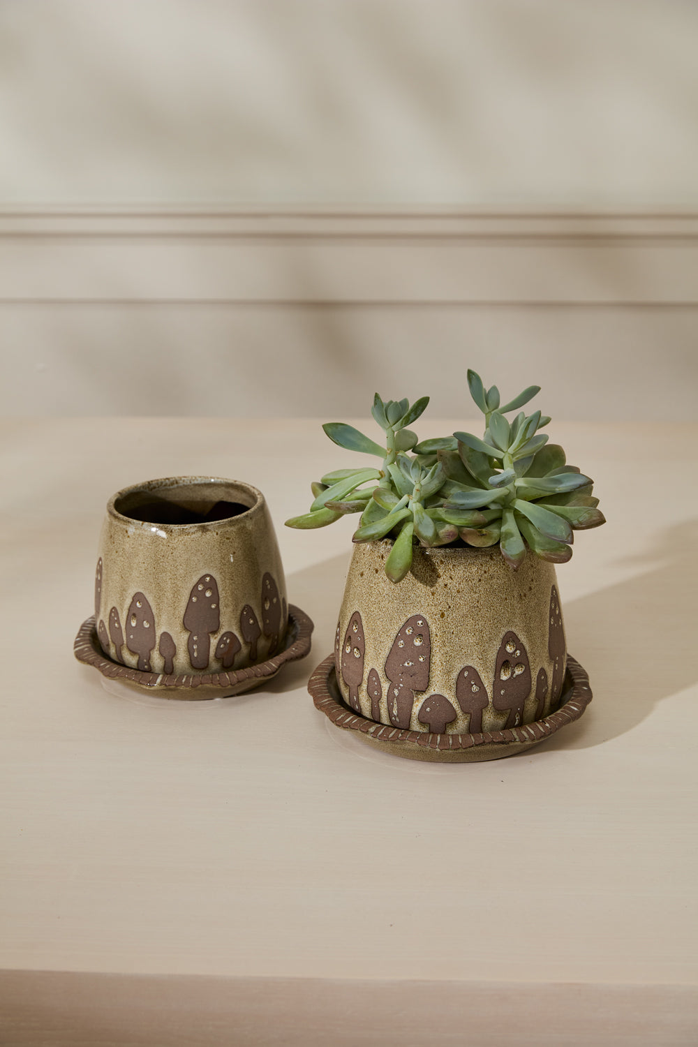 Wild Mushroom Pot with Saucer Set of 2 By Accent Decor | Planters, Troughs & Cachepots | Modishstore - 4