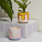 Wild Tails Pot Set of 4 By Accent Decor | Planters, Troughs & Cachepots | Modishstore - 3