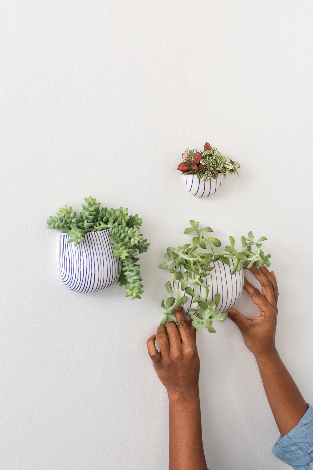Wim Wall Planter Set of 8 By Accent Decor | Planters, Troughs & Cachepots | Modishstore - 2