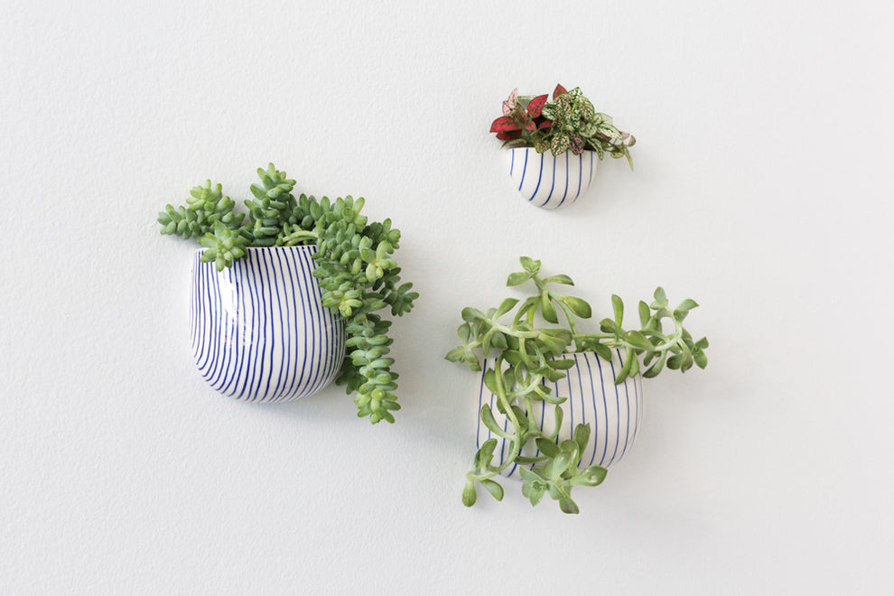 Wim Wall Planter Set of 8 By Accent Decor | Planters, Troughs & Cachepots | Modishstore - 3