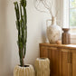 Windswept Collection By Accent Decor | Decorative Bowls | Modishstore - 3