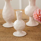 Wisp Budvase Set of 8 By Accent Decor | Vases | Modishstore - 1