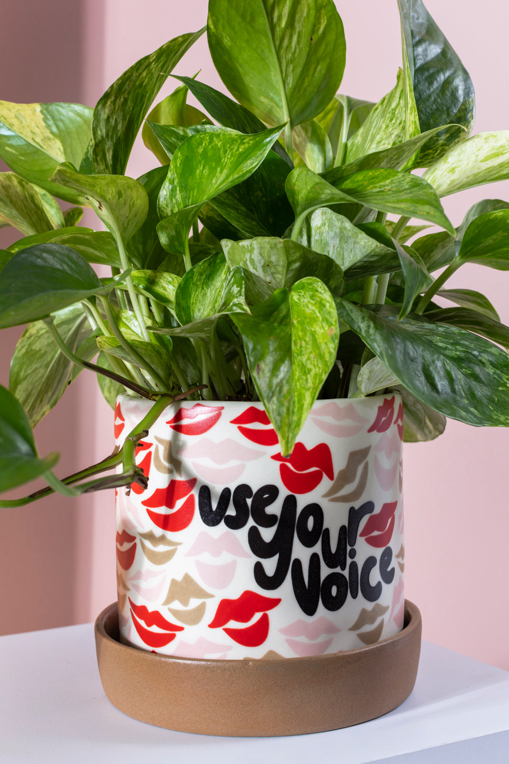 Use Your Voice Pot Set of 2 By Accent Decor | Planters, Troughs & Cachepots | Modishstore - 2