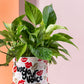 Use Your Voice Pot Set of 2 By Accent Decor | Planters, Troughs & Cachepots | Modishstore - 3