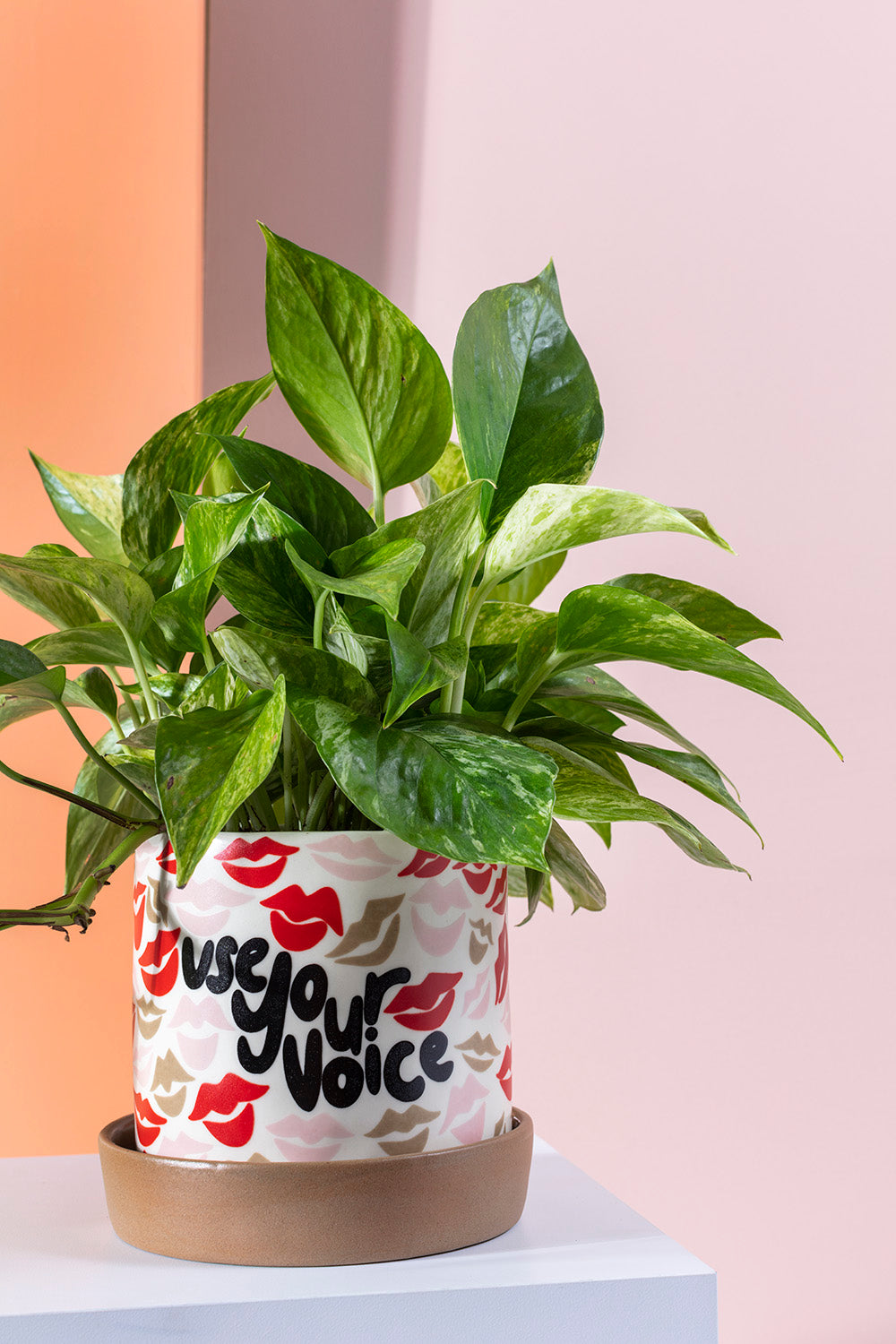Use Your Voice Pot Set of 2 By Accent Decor | Planters, Troughs & Cachepots | Modishstore - 3