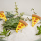 Yummy Plant Sticks - Set of 6 By Accent Decor | Planters, Troughs & Cachepots | Modishstore - 1
