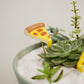 Yummy Plant Sticks - Set of 6 By Accent Decor | Planters, Troughs & Cachepots | Modishstore - 6
