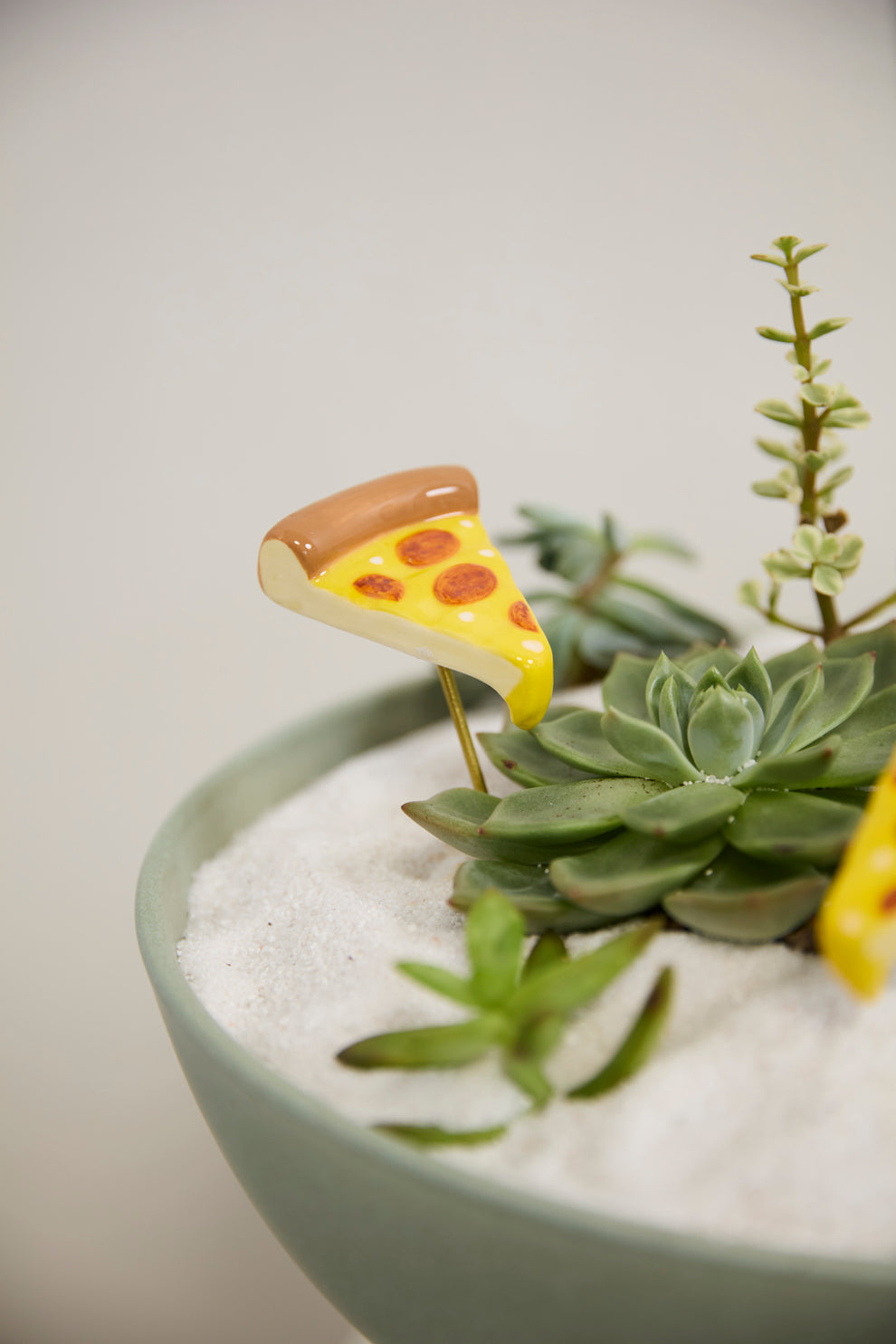 Yummy Plant Sticks - Set of 6 By Accent Decor | Planters, Troughs & Cachepots | Modishstore - 6