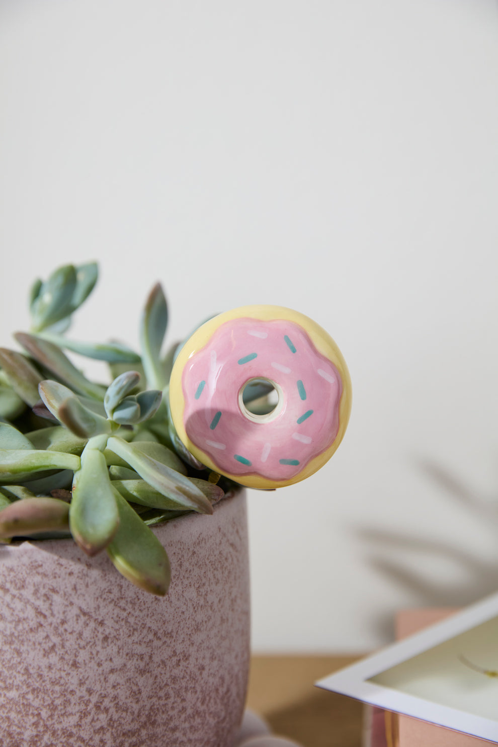 Yummy Plant Sticks - Set of 6 By Accent Decor | Planters, Troughs & Cachepots | Modishstore - 7