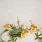 Yummy Plant Sticks - Set of 6 By Accent Decor | Planters, Troughs & Cachepots | Modishstore - 8