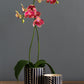 Ziva Pot Set of 4 By Accent Decor | Planters, Troughs & Cachepots | Modishstore - 1