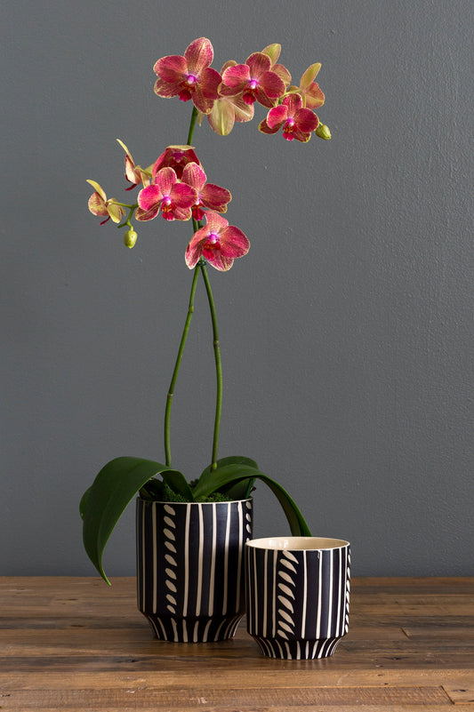 Ziva Pot Set of 4 By Accent Decor | Planters, Troughs & Cachepots | Modishstore - 1