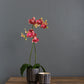 Ziva Pot Set of 4 By Accent Decor | Planters, Troughs & Cachepots | Modishstore - 3