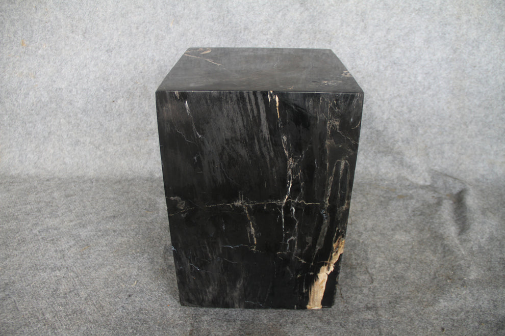 Square Petrified Wood Log Stool 18" x 12" x 12" -004.19  or 4.19 | Petrified Wood Stools | Modishstore-5