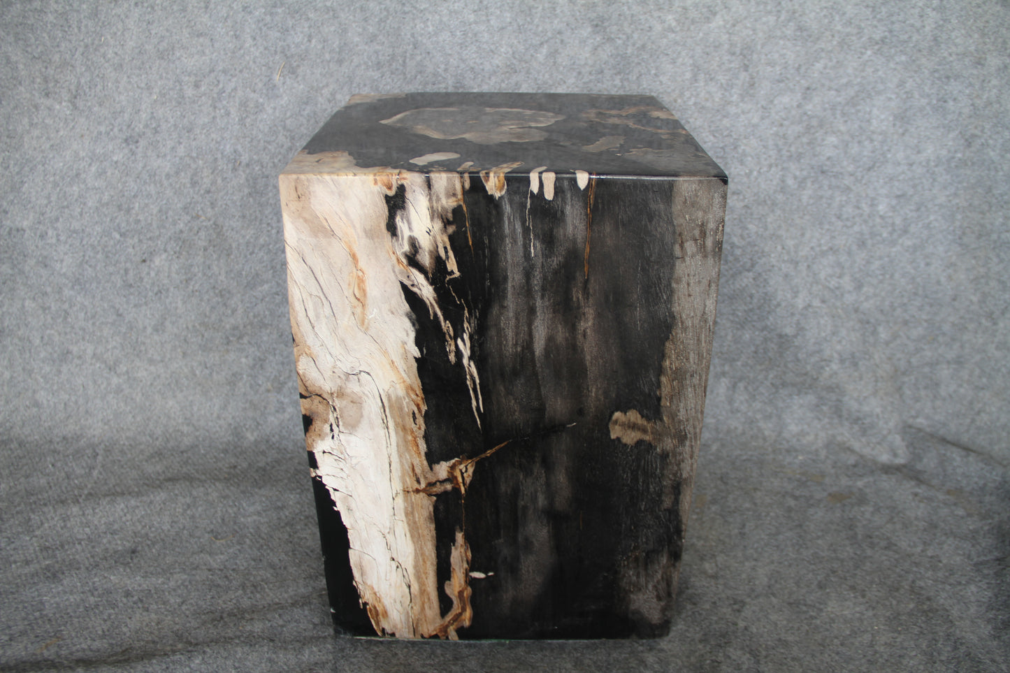 Square Petrified Wood Log Stool 18" x 12" x 12" -0086.19 or 86.19 | Petrified Wood Stools | Modishstore-5