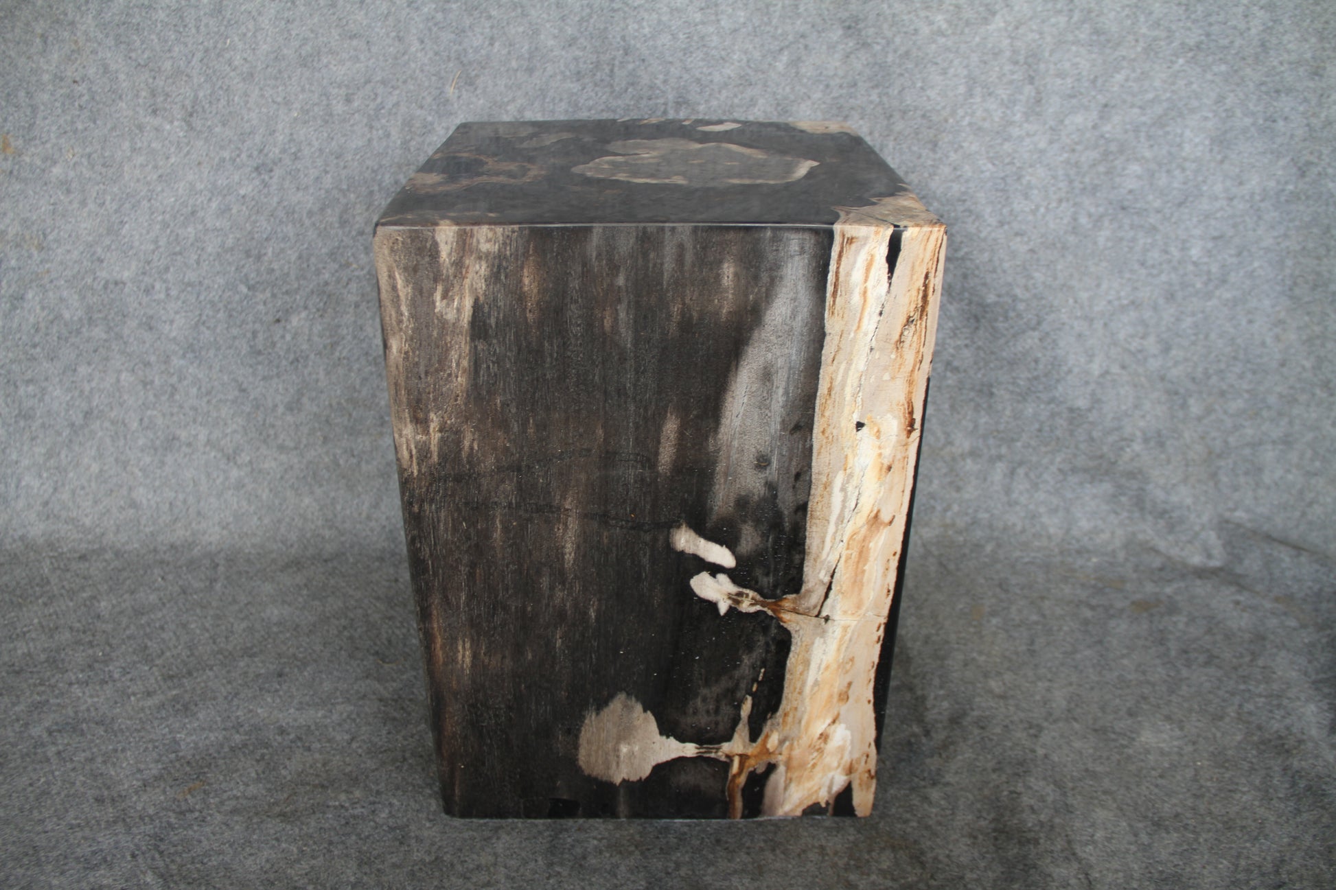 Square Petrified Wood Log Stool 18" x 12" x 12" -0086.19 or 86.19 | Petrified Wood Stools | Modishstore-3