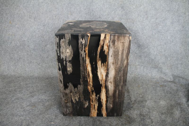 Square Petrified Wood Log Stool 18" x 12" x 12" -0086.19 or 86.19 | Petrified Wood Stools | Modishstore