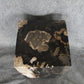 Square Petrified Wood Log Stool 18" x 12" x 12" -0086.19 or 86.19 | Petrified Wood Stools | Modishstore-2