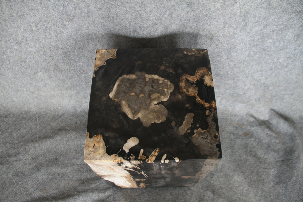 Square Petrified Wood Log Stool 18" x 12" x 12" -0086.19 or 86.19 | Petrified Wood Stools | Modishstore-2