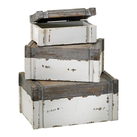 Cyan Design Alder Boxes