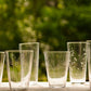 Roost Etched Botanical Glassware