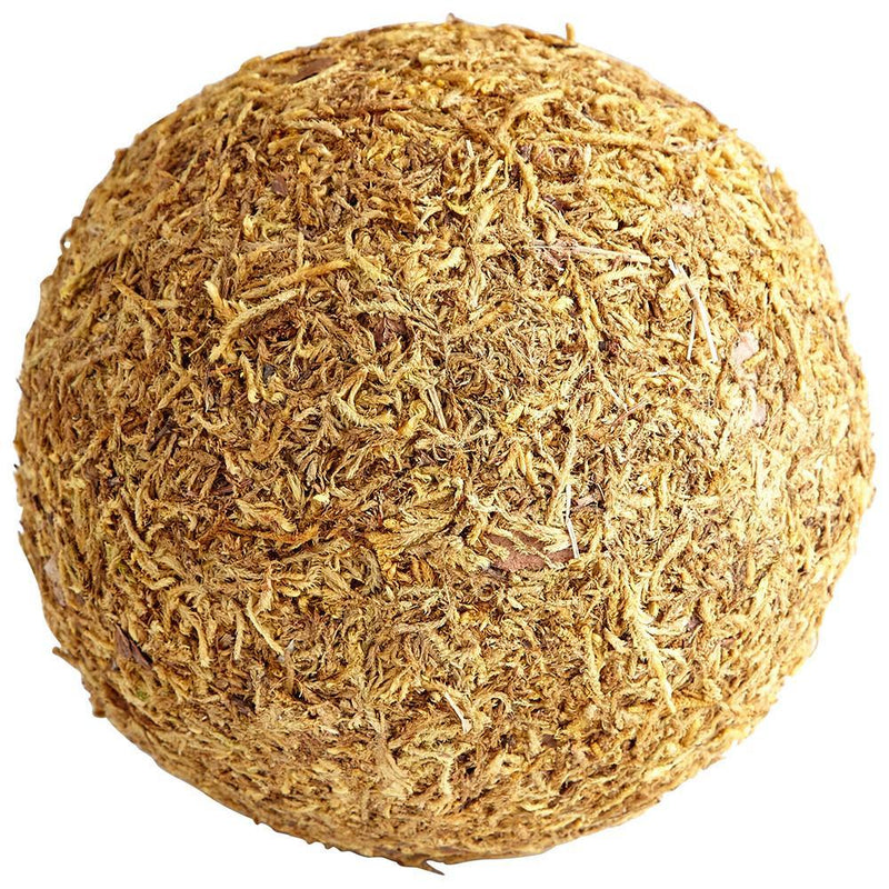 Cyan Design St. Augustine Filler