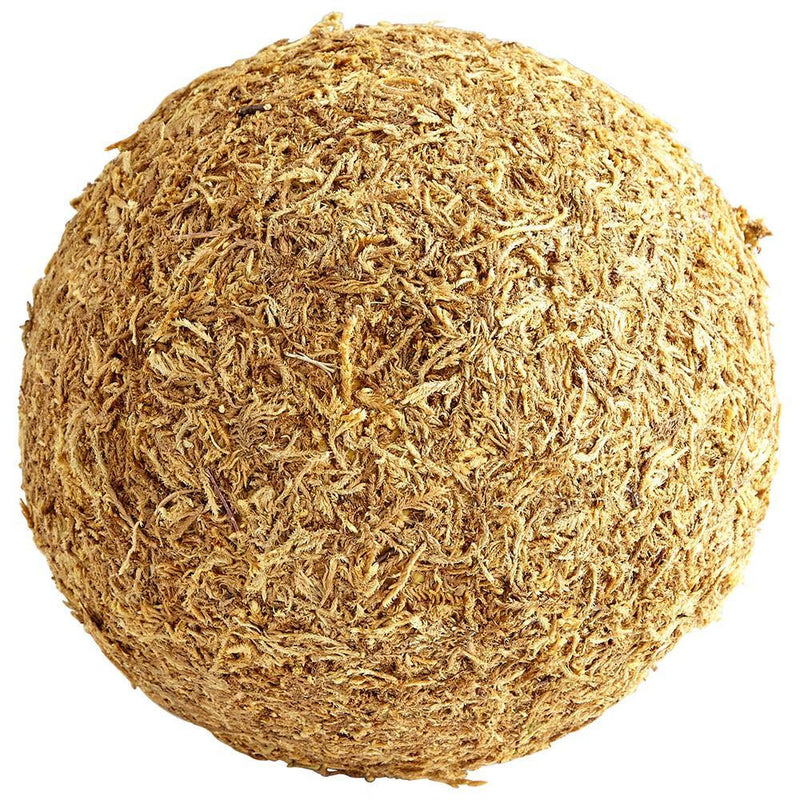 Cyan Design St. Augustine Filler