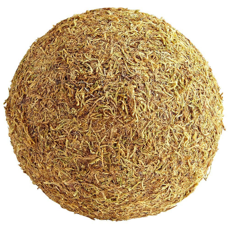 Cyan Design Extra St. Augustine Filler