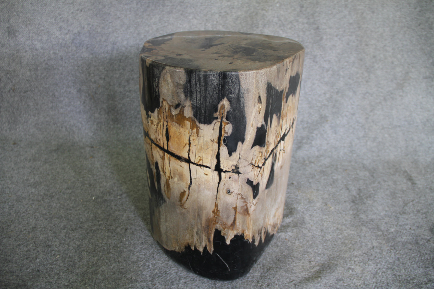 Petrified Wood Log Stool 18in(h)x 16in x 13in - 1005.21 | Petrified Wood Stools | Modishstore-2