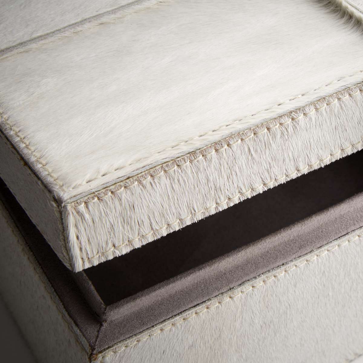 Brixton Container By Cyan Design | Cyan Design | Modishstore - 3