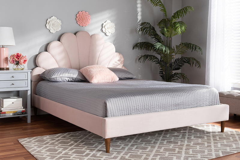 Baxton Studio Odille Modern Glam Light Pink Velvet Upholstered Walnut Brown Finished Wood Queen Size Seashell Shaped Platform Bed | Modishstore | Beds