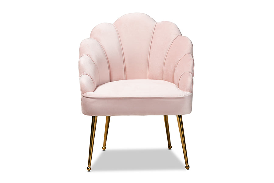 baxton studio cinzia glam and luxe light pink velvet fabric upholstered gold finished seashell shaped accent chair | Modish Furniture Store-3