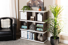 Baxton Studio Rune Modern and Contemporary Two-Tone White and Walnut Brown Finished 2-Drawer Bookcase
