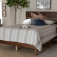 Baxton Studio Anthony Modern and Contemporary Walnut Brown Finished Wood Full Size Panel Bed | Modishstore | Beds