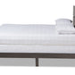 Baxton Studio Anthony Modern and Contemporary Dark Grey Oak Finished Wood King Size Panel Bed | Beds | Modishstore - 3