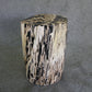 Petrified Wood Log Stool  10 x 9 x 16.5 - 108.21 | Petrified Wood Stools | Modishstore-5