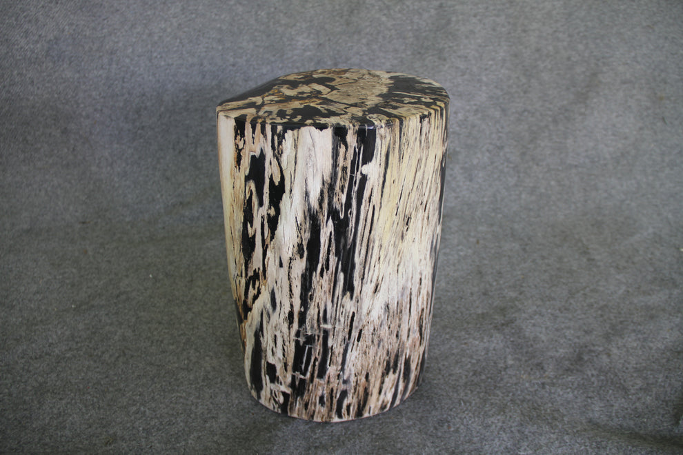 Petrified Wood Log Stool  10 x 9 x 16.5 - 108.21 | Petrified Wood Stools | Modishstore-5