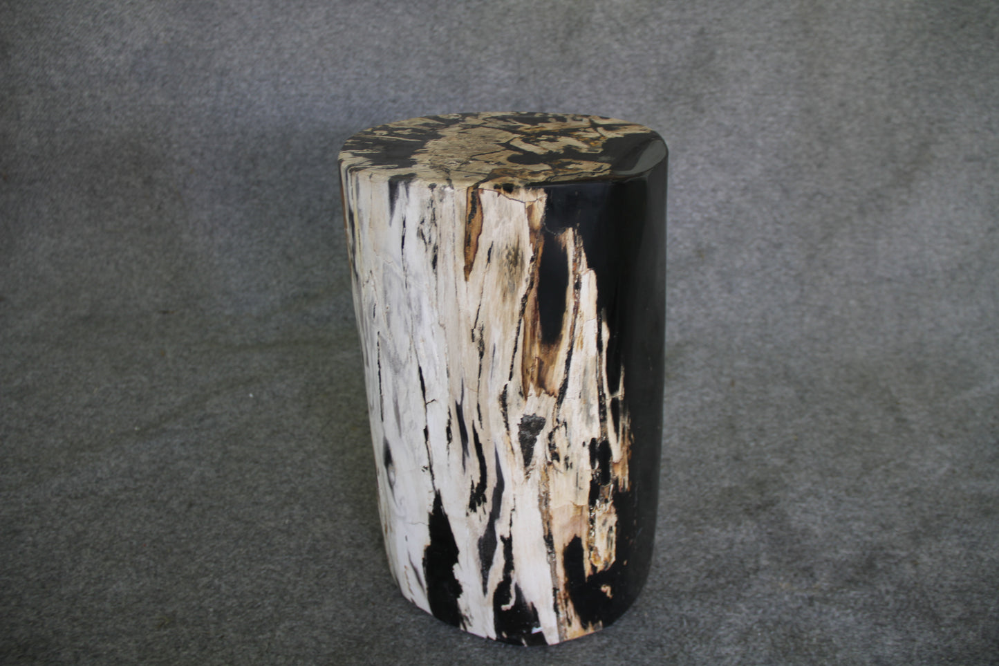 Petrified Wood Log Stool  10 x 9 x 16.5 - 108.21 | Petrified Wood Stools | Modishstore-4