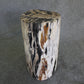 Petrified Wood Log Stool  10 x 9 x 16.5 - 108.21 | Petrified Wood Stools | Modishstore-3