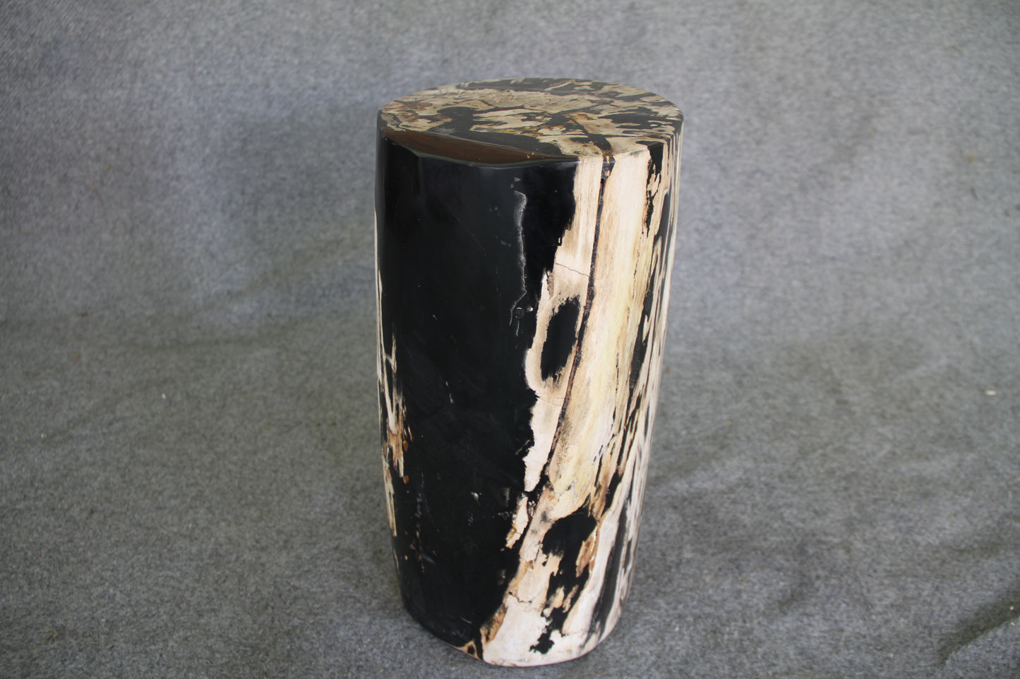 Petrified Wood Log Stool  10 x 9 x 16.5 - 108.21 | Petrified Wood Stools | Modishstore