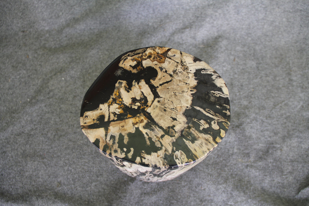 Petrified Wood Log Stool  10 x 9 x 16.5 - 108.21 | Petrified Wood Stools | Modishstore-2