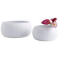 Purezza Bowl
 By Cyan Design | Cyan Design | Modishstore - 4