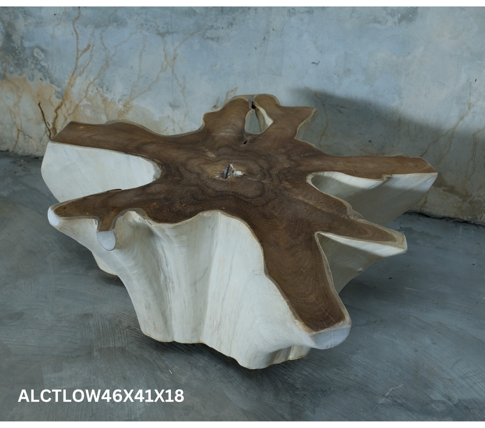 Antique Teak Thick Slab Coffee Table- 2 Variants- by Artisan Living | Coffee Tables | Modishstore-3