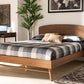 Baxton Studio Keagan Mid-Century Modern Transitional Walnut Brown Finished Wood Queen Size Platform Bed | Modishstore | Beds