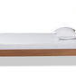 Baxton Studio Michi Modern and Contemporary Ash Walnut Finished Wood Twin Size Bed | Beds | Modishstore - 3
