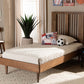 Baxton Studio Kioshi Mid-Century Modern Transitional Ash Walnut Finished Wood Twin Size Platform Bed | Modishstore | Beds