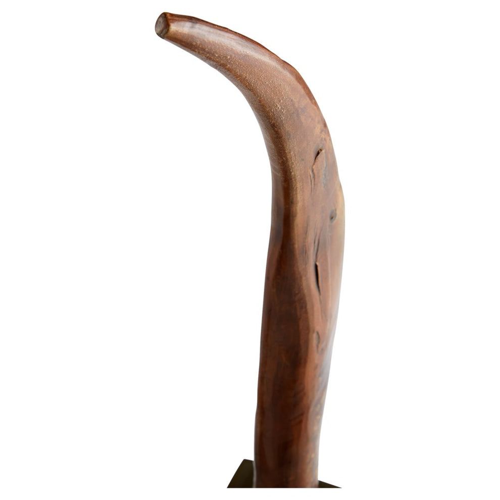 Eastern Claw Sculpture | Sculptures | Modishstore - 2