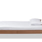 Baxton Studio Nicola Mid-Century Modern Transitional Ash Walnut Finished Wood Twin Size Platform Bed | Beds | Modishstore - 3